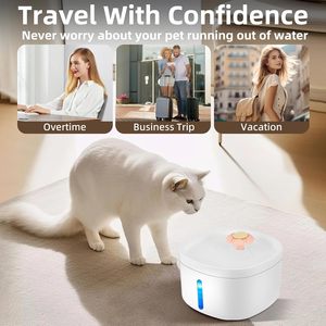 Fontaine à eau automatique portable en plastique pour animaux de compagnie avec filtre remplaçable pour chats et chiens - Product Image 6