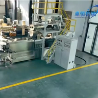 Ligne de production de granulés d'aliments pour poissons avec extrudeuse à double vis pour la fabrication d'aliments aquacoles flottants et coulants