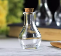 Bouteille en verre transparente de 55 ml avec bouchon en bois pour messages, mini capsule DIY, vente en gros