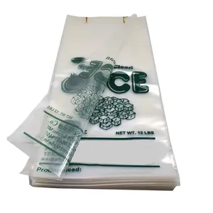 Frozen Food Packaging Bag Custom Size Reusable Clear Nice Printed Cool Fresh Food Vegetable Fruits Fish Lunch Wicket Plastic PE