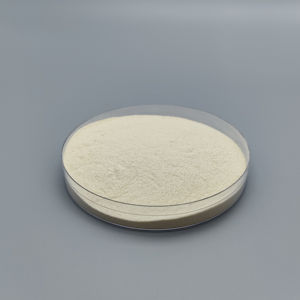 Heetverkopende chitosan met hoge dichtheid tegen fabrieks prijs - Product Image 1