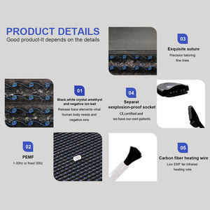 Alas Sauna penyembuhan profesional dosis tinggi 190*80cm 25-80 °C panas cemara 1-30hz PEMF perangkat Terapi magnetik - Product Image 3