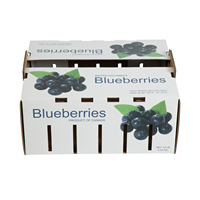 Boîtes à pamplemousses en carton ondulé ventilé pour l'emballage de raisins frais, chaîne du froid, exportation, stockage, anti-écrasement, emballage de fruits