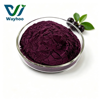 Poudre de baies d'açaï naturelle directement du fabricant, poudre de jus de baies d'açaï, complément alimentaire, extrait de poudre d'açaï