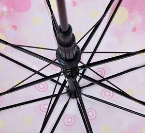 DD2721 Paraguas de Lluvia Moderno y Bonito con Diseño de Animales de Dibujos Animados, Apertura Automática, para Estudiantes y Niños - Product Image 2