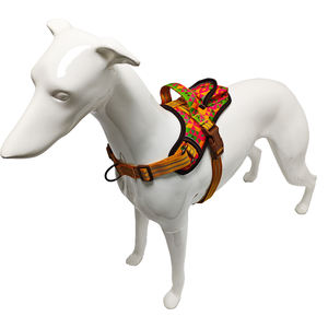 En gros Polyester Doux Chien Gilet Harnais De Mode Transfert De Chaleur Simple Harnais Pour Animaux De Compagnie Avec Motif Personnalisé - Product Image 4