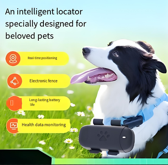 OEM PZH12 Kids Bluetooth Smart Pet GPS Tracker Collar - 4G Mini GPS Pet Tracker for Dogs Cats
