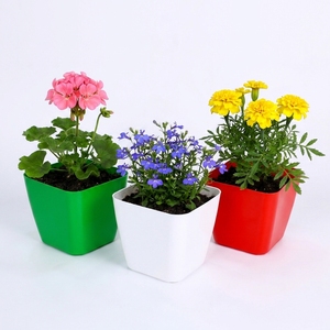 Pot de fleurs carré en plastique en gros 13,5x13,5x12cm en PP, design conique, multicolore, pour la décoration de la maison, du jardin et de la pépinière - Product Image 3