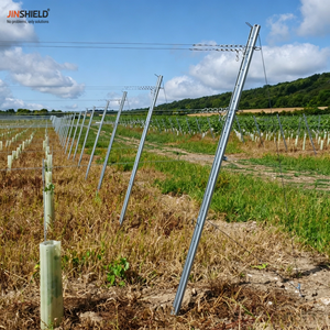 Poste <span class=keywords><strong>de</strong></span> metal galvanizado en caliente <span class=keywords><strong>para</strong></span> viñedo, <span class=keywords><strong>para</strong></span> sistema <span class=keywords><strong>de</strong></span> soporte <span class=keywords><strong>de</strong></span> alambre en viñedos - Product Image 4