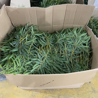 Plante artificielle en bambou coréen de 100-180 cm, presque naturelle, en pot, pour la décoration intérieure
