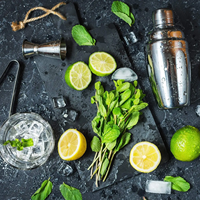 Ensemble de shaker à cocktails Camol personnalisé de 9 pièces, 550 ml, en acier inoxydable, kit de barman, doseur, pilon, passoire, pince à glace, verseur à vin