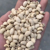 Haricots Black Eyed Pea, petits haricots blancs Cowpea, prix des haricots Black Eye