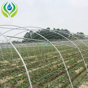 MYXL Hệ Thống Nhà Kính Thủy Canh Nhựa Ngoài Trời Phong Cách Trung Quốc Đường Hầm Nhỏ Một Khoảng Để Bán Nhà Kính - Product Image 4