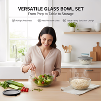 Mangkuk Salad Besar Kaca Borosilikat Tinggi Kustom Grosir dengan Tutup PE untuk Dapur, Piknik, Pesta, Desain Modern Ramah Lingkungan