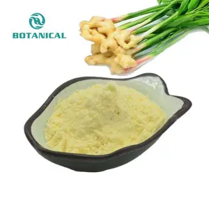 100% Pure And Natural Ginger Powder Water Soluble Ginger Extract 1%-20% Gingerol 1%-6%Shogaol