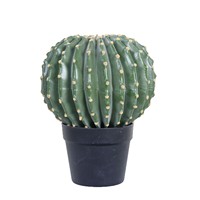 Cactus en plastique pour intérieur/extérieur, fausses plantes tropicales, fausses plantes vertes, plantes artificielles de désert à haute simulation, cactus