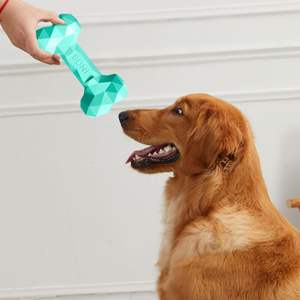 Doğal kauçuk dayanıklı tedavi oyuncaklar yumuşak kemik şekli köpek diş çiğnemek oyuncak interaktif köpek kemik - Product Image 3