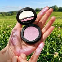 Vente en gros de poudre illuminante pour le visage vegan avec logo personnalisé, marque privée, pigment de maquillage, palette d'illuminateurs
