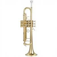 Bb Trumpet for School Students Adults Children Beginner Silver-plated Brass Instrument for Grade Exam Preparation First-time