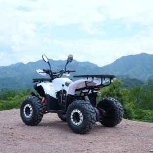 Quad 125cc fabriqué en Chine pour le tout-terrain - Product Image 4