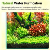 Substrat YEE Aqua Volcanique Naturel Sans Rinçage, Longue Durée (3 Ans) pour Aquarium Plantaire, Crevettes, Cryptocoryne, Aquascaping