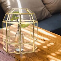 Terrarium de plantes en verre fait à la main, boîte de carte-cadeau, forme de cage d'oiseau, dôme en or noir, Terrarium en verre géométrique