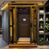 Ascenseur de villa pour la maison, élégant ascenseur domestique avec structure en acier, prix de l'ascenseur de luxe pour maison