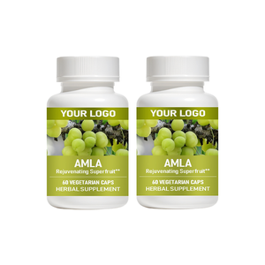 Complément alimentaire Carlyle Amla Capsules, supplément de fruit d'amla, poudre d'amla biologique pour la protection antioxydante, l'énergie et le soutien digestif - Product Image 4