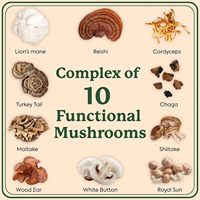 Gummies Super Formule OEM Marque Privée Mélange de Champignons (Queue de Dinde, Cordyceps, Crinière de Lion) pour le Soutien Énergétique