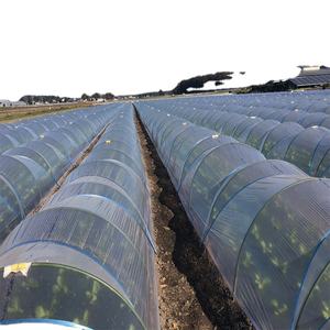 Resistencia a la corrosión Perfil FRP GRP Varilla sólida Estaca de fibra de vidrio - Product Image 6