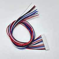 ODM OEM 2.54mm kawat Harness JST SH GH ZH PH XH MOLE listrik pria 2 3 4 5 6 Pin konektor Terminal disesuaikan untuk otomotif