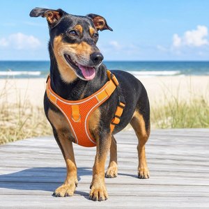 Arnés Reflectante de Verano para Perros Pequeños, Medianos y Grandes, Cómodo, Fácil de Controlar, Accesorios para Perros, Duradero y Ligero - Product Image 1