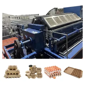 Equipo de formación de pulpa de desecho Bandeja de huevos Equipo de caja de huevos/Máquina de bandeja de huevos completamente automática/Equipo de producción de bandejas de huevos