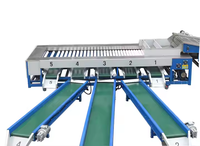Automatische PLC aardappel-, knoflook-, kersen-, pruimen-, dadels-, cashewnoten- en ananas-sorteer- en -gradeermachine voor groenten en fruit