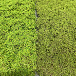 सिम्युलेटेड मॉस टर्फ, सिम्युलेटेड ब्राउन और ग्रीन मॉस टर्फ कारखाने थोक, परिदृश्य सजावट मोएस टर्फ - Product Image 3