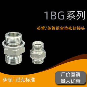 Raccord de tuyauterie hydraulique britannique 1BG avec joint interne de type C à 60 degrés, filetage externe, joint torique, raccords hydrauliques - Product Image 2