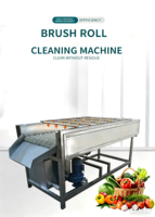 Industriële fruit- en groentewasmachine met waterrecycling-conveyor voor verwerkingsbedrijven