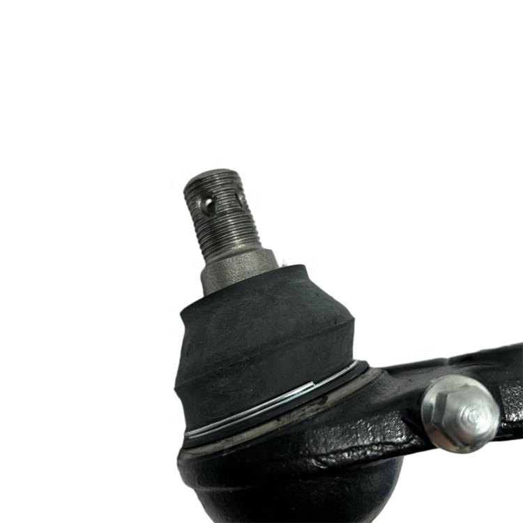 JAPANTECHNOLOGY ヴェルヴェティ Cheetah MB633860 for LIEBAO V31chassis - Lower Swing Arm
