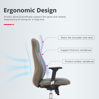 Chaise de bureau ergonomique à dossier moyen avec accoudoirs réglables, pivotante, avec support lombaire et base en acier pour le bureau à domicile