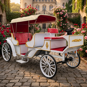 Carruaje de Caballos de Estilo Europeo para Turismo y Bodas, Transporte Eléctrico Especial - Product Image 1