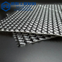 Geocomposite Drainage HDPE Mesh 3D Composite Geo Net Geonet pour le contrôle de l'érosion et la stabilisation des pentes