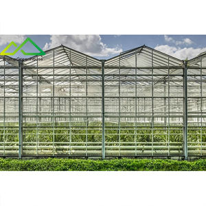 Grande serre multi-chapelles <span class=keywords><strong>en</strong></span> verre pour la culture hors-sol de tomates, concombres, poivrons et melons - Product Image 4