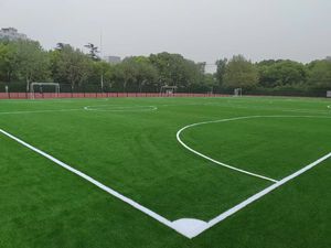 <span class=keywords><strong>Gazon</strong></span> synthétique professionnel <span class=keywords><strong>sans</strong></span> remplissage pour terrains de football et de soccer, <span class=keywords><strong>sans</strong></span> granulats de caoutchouc - Product Image 6