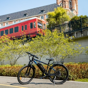 Vélo électrique DUOTTS C29, batterie au lithium 48V 15AH, 25 km/h, 50 km/h, vélo électrique rapide pour la ville, vélo électrique de montagne pour adultes, entrepôt numérique Royaume-Uni UE - Product Image 1