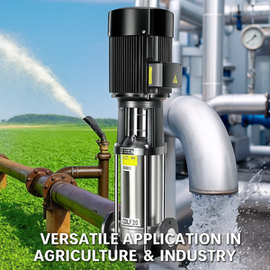 Điện áp lực cao bơm nước 1HP Ly Tâm Bơm tăng cường cho sạch tưới nước OEM tùy chỉnh - Product Image 3