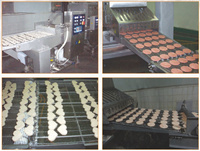 Machine à enrober les nuggets de poisson, crevettes, poulet, pop-corn et anneaux d'oignon SJJ400-V