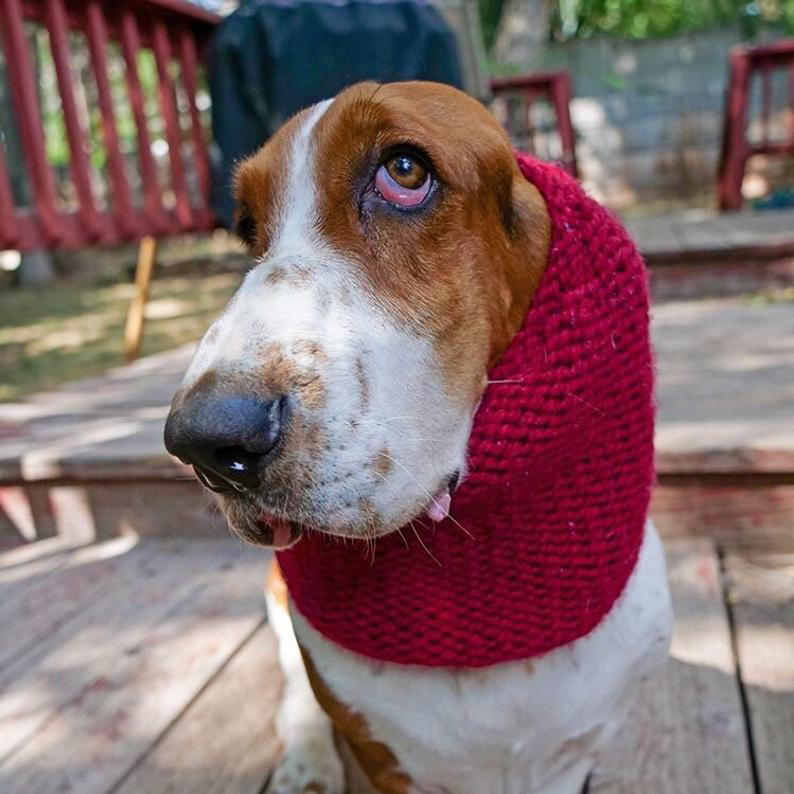 Felpa Con Cappuccio Sushi Basset Hound - Design Con Illustrazione, Cotone E Poliestere, Taglio Classico - Foto 2