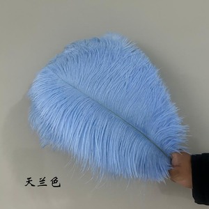 Best-seller 100% plume d'autruche frange <span class=keywords><strong>Boa</strong></span> fabriqué à la main saint valentin décoration fournitures longue durée usine prix de gros - Product Image 6