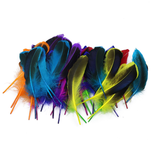 Teint naturel 50pc ploybag plume de canard pour bricolage artisanat cheveux Costume accessoire de pêche mouche attachant matériel ornement frange décor - Product Image 1