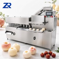 Commerciële fruit schilmachine, snijmachine en ontpitter, appel schiller, ontpitter, snijmachine voor voedingsfabrieken